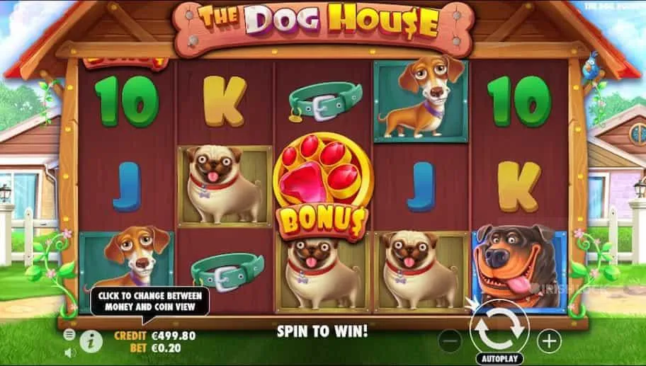 Serunya Dunia Anjing Bikin Main Ketagihan Main The Dog House
